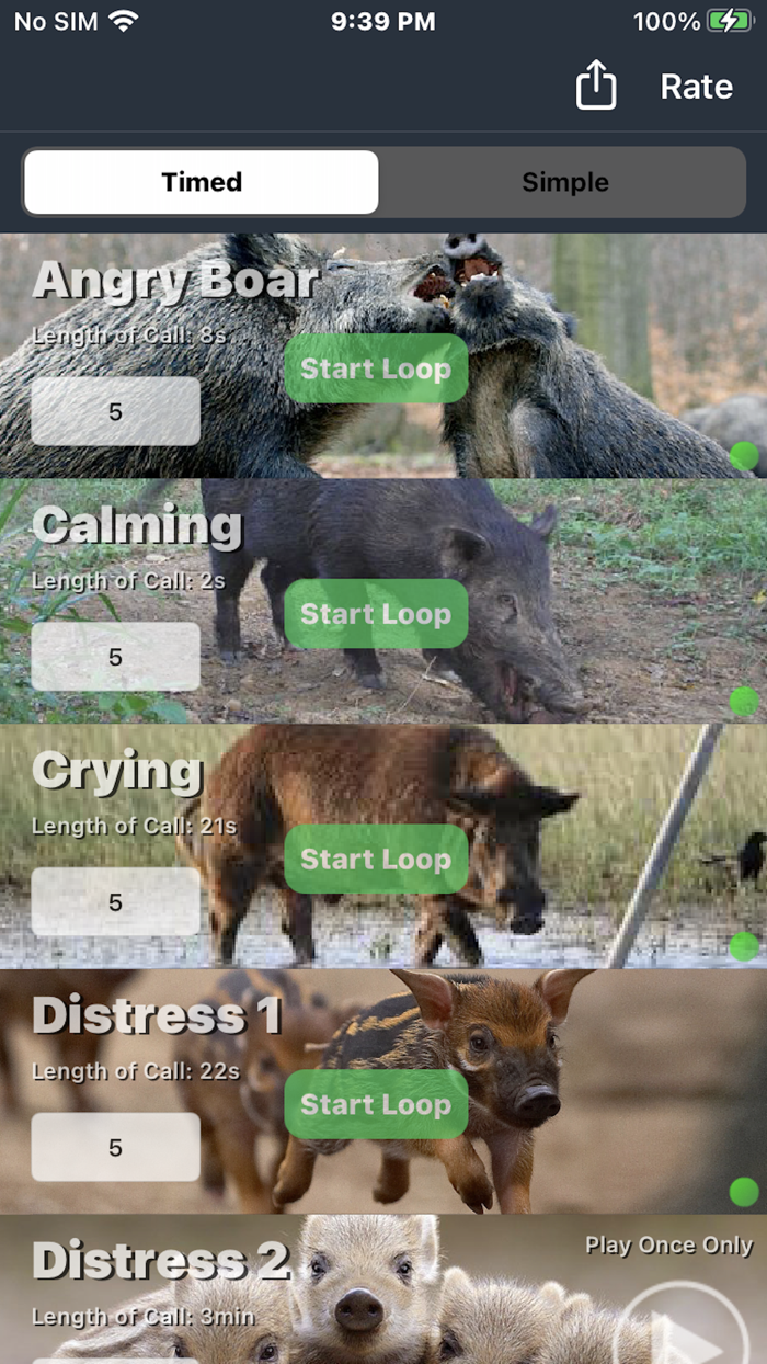 Wild Hog Hunting Calls