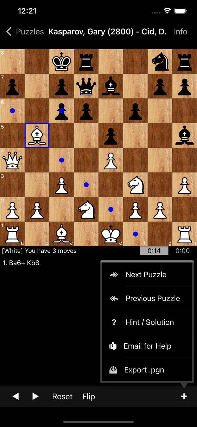 Chess Puzzles World Champions