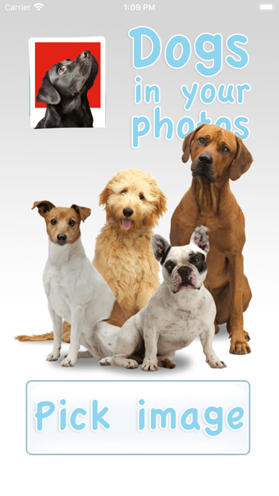 Screenshot #1 pour Chiens dans vos photos
