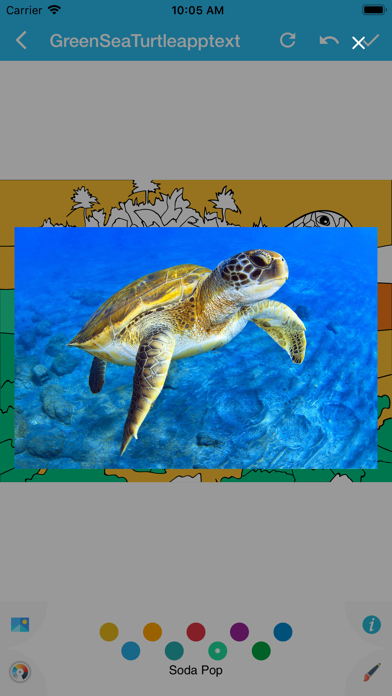 Advance Wildlife Education Screenshot