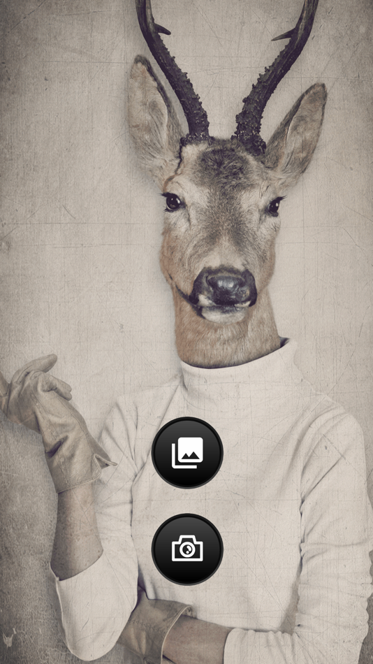 Animal Face Photo Booth - 3.0 - (iOS)