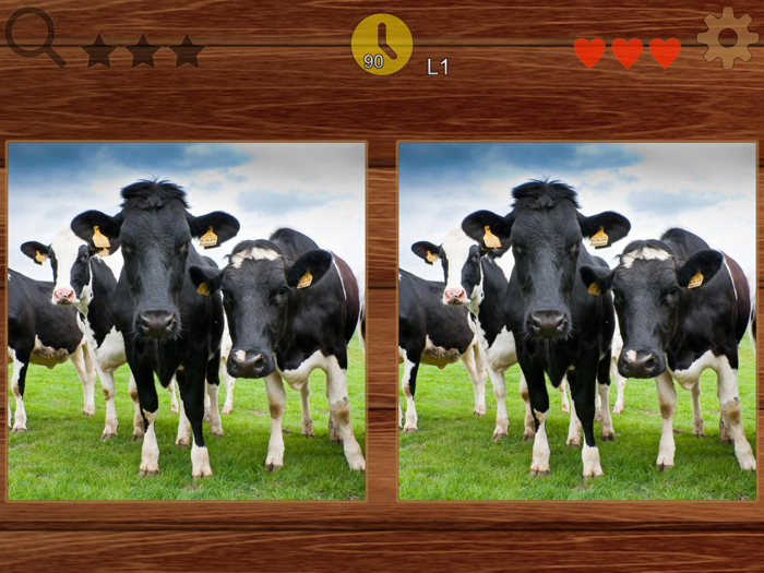 picFind - Find some different