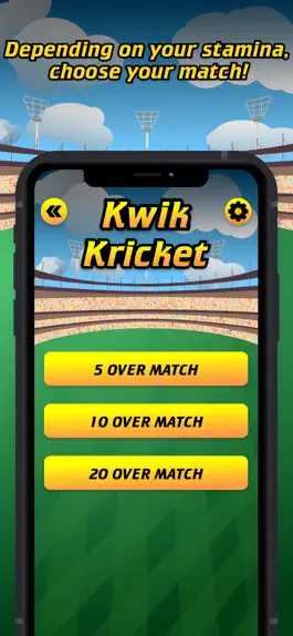 Game screenshot Kwik Kricket apk