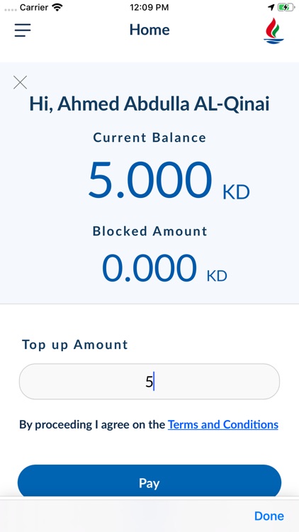 e-Petrol screenshot-3