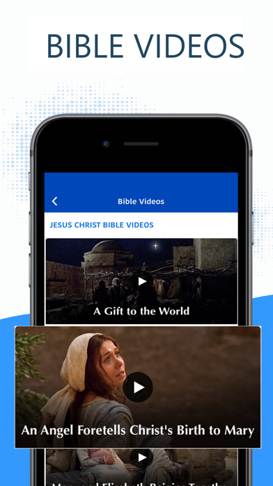 The Vietnamese Bible Offline Screenshot