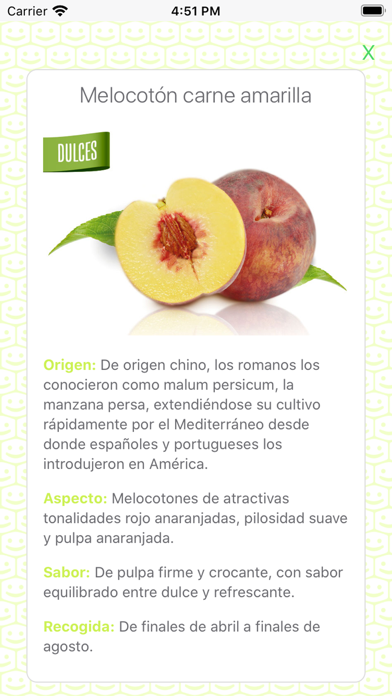 SOMOS TANY NATURE Screenshot
