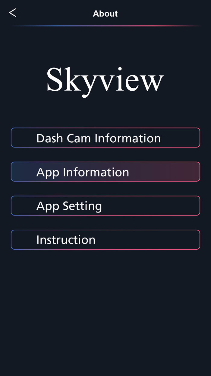 Skyview Dashcam