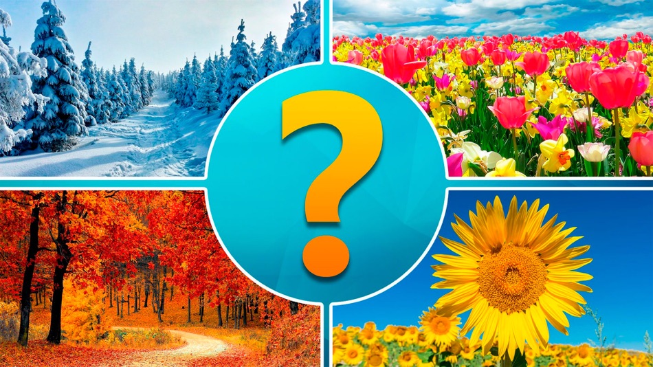 4 pictures 1 word - 1.0 - (iOS)