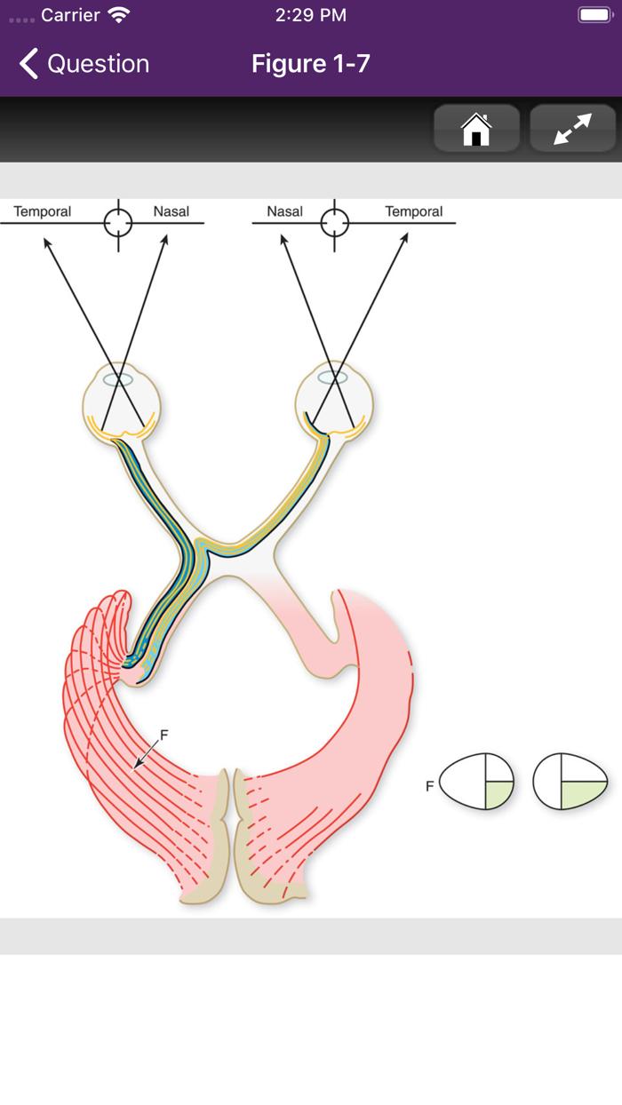 Neurology Board Review 3-E