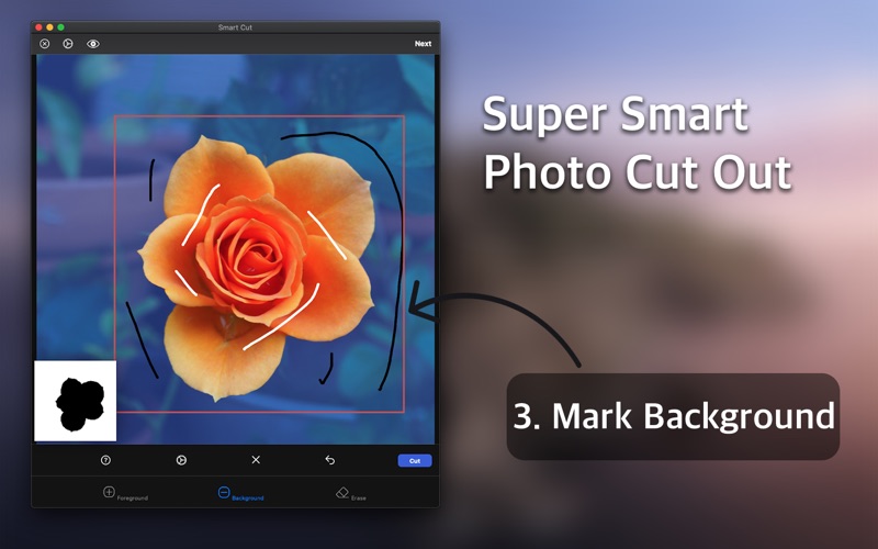 How to cancel & delete smart cut : background eraser 1