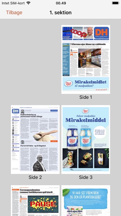 Dagligvarehandlen Screenshot