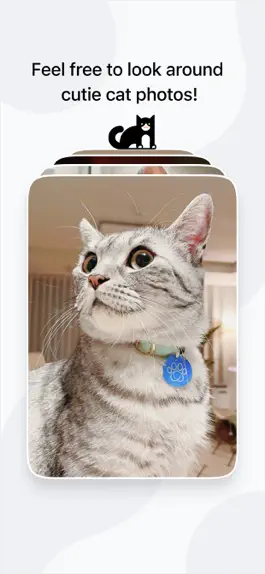 Game screenshot Cutie Cat Photo Contest apk