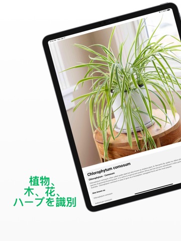 Plant ID - 植物を識別のおすすめ画像3