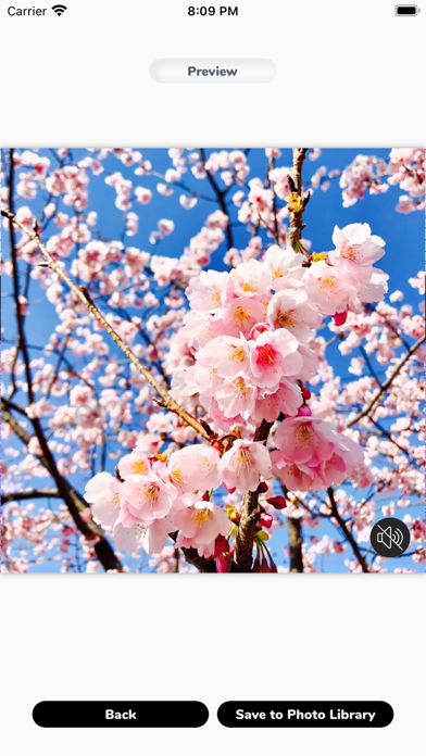 Music on Photos Screenshot