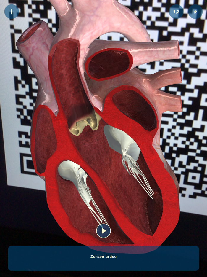 Heart AR