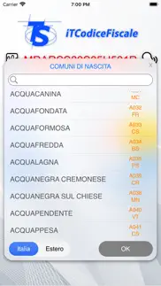 it codice fiscale iphone screenshot 4