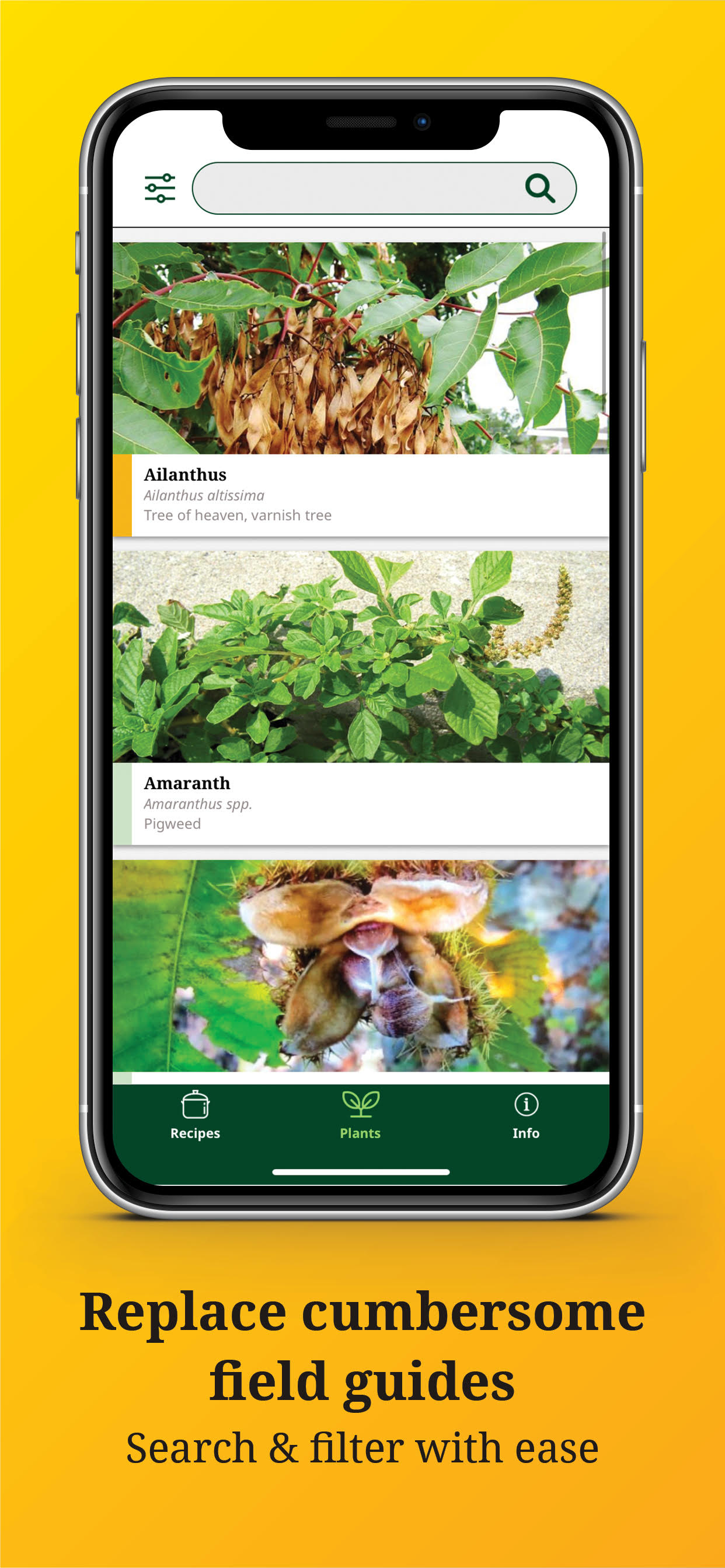 Foraging with the "Wildman"