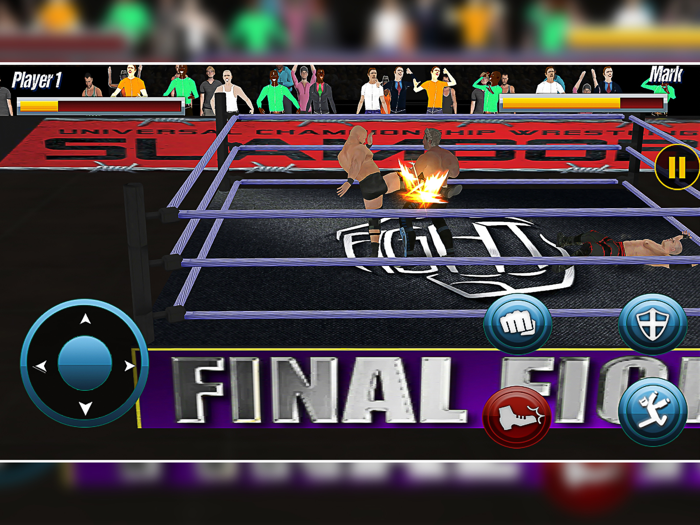 World Wrestling Fighting 2020