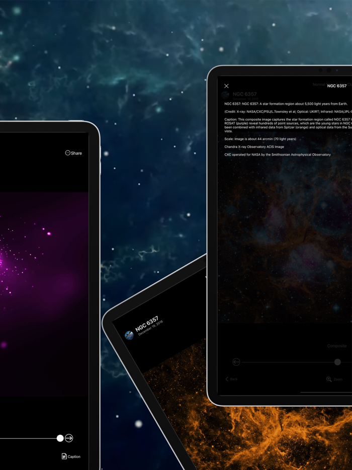 Chandra 20 Years and Beyond