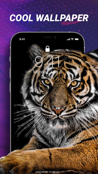 Meow Live Wallpapers&HD Themes Screenshot