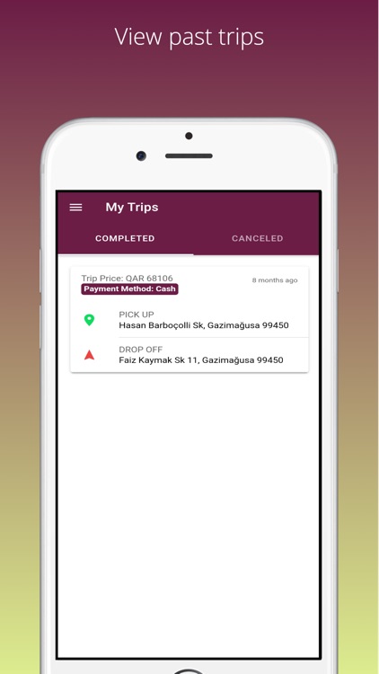 QDriven screenshot-3
