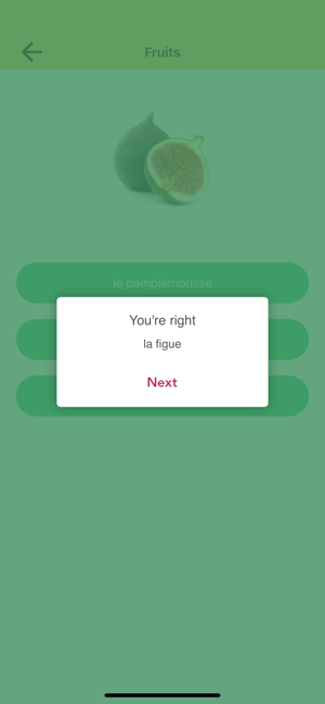 French Beginners: Smart Choice(圖7)-速報App