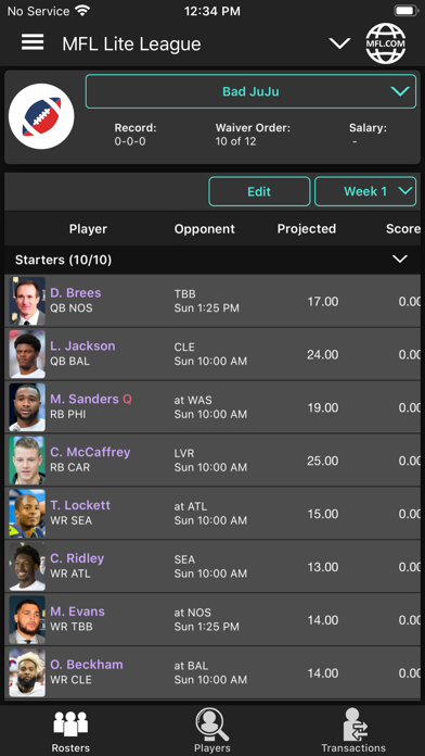 MFL Lite Screenshot