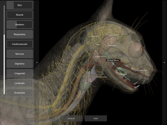 3D Cat Anatomyのおすすめ画像5