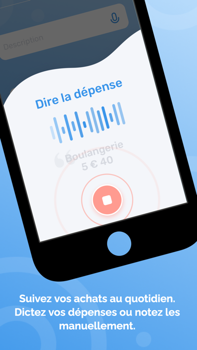 Screenshot #1 pour Pilote Dépenses