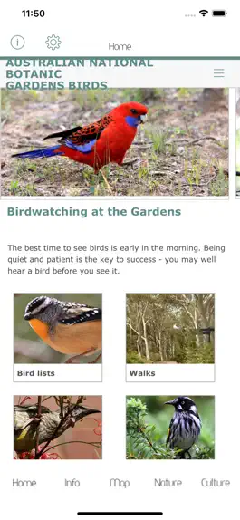 Game screenshot ANBG Birds apk