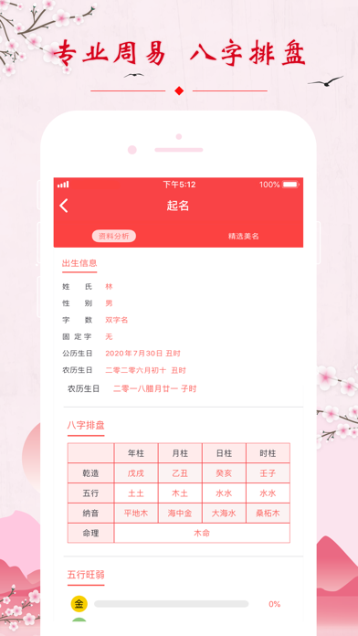 如意起名测名 -大师生辰八字起名解名 screenshot 3