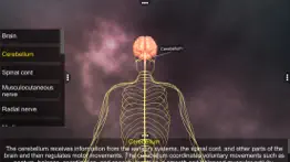human nervous system iphone screenshot 3
