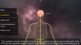 Game screenshot Human Nervous system hack