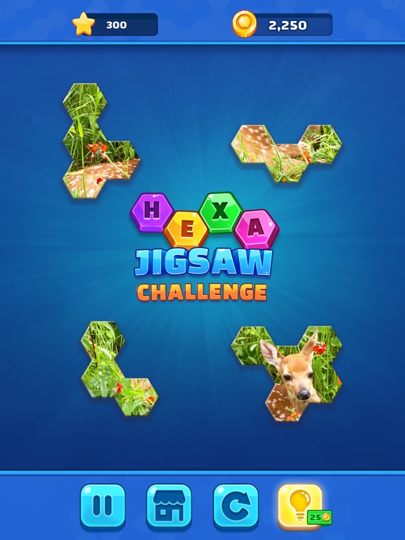 Hexa Jigsaw Challengeのおすすめ画像5