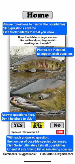 Game screenshot Fish Sorter apk