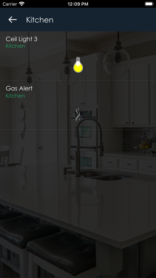 #4. Wireeo Lite (iOS) 由: Green Electric City SRL