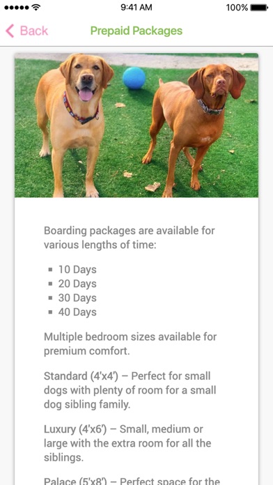 Puppy Paws Hotel & Spa Screenshot