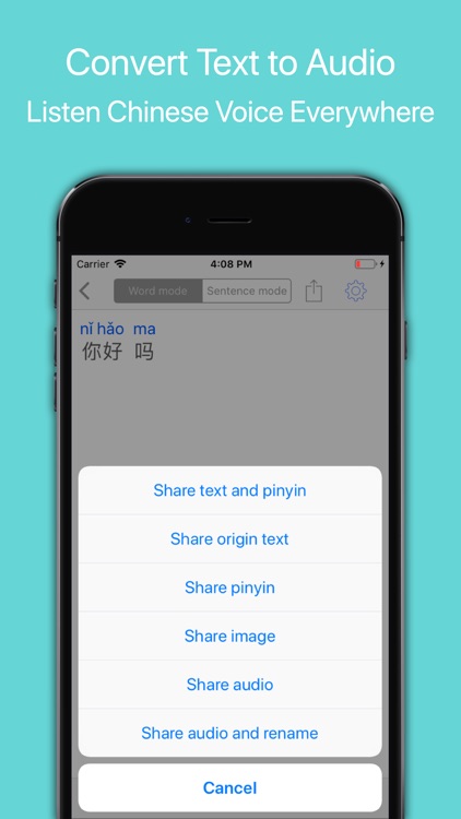 Chinese Strokes Order Pro screenshot-3