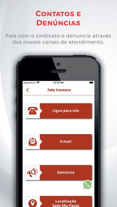 Sinteata Screenshot