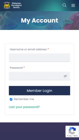 Game screenshot MyMOS hack