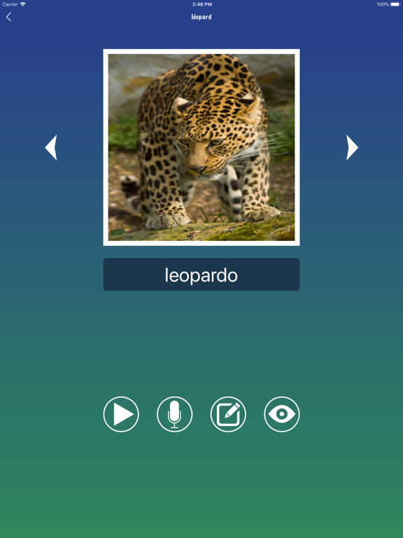 Screenshot #6 pour Mots portugais Flashcards