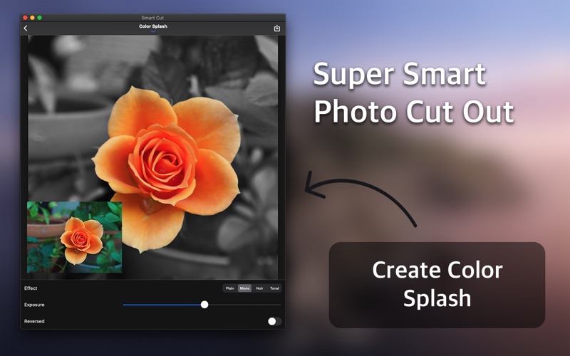 How to cancel & delete smart cut : background eraser 4