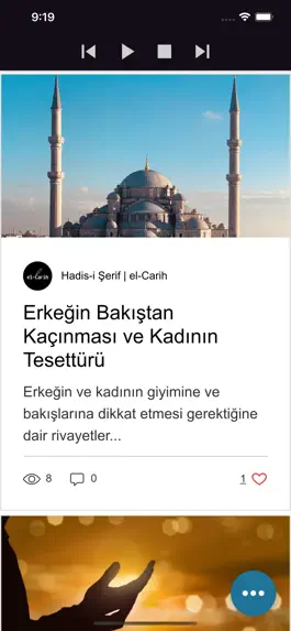 Game screenshot Nurlu Hizmet apk