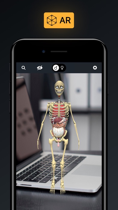 Human Body Atlas: 3D Medical Screenshot