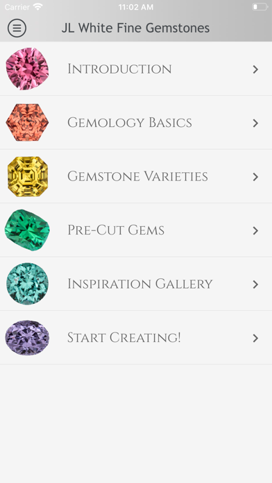 JL White Fine Gemstones Screenshot