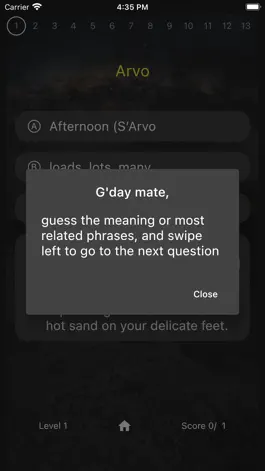 Game screenshot Aussie slang quiz apk