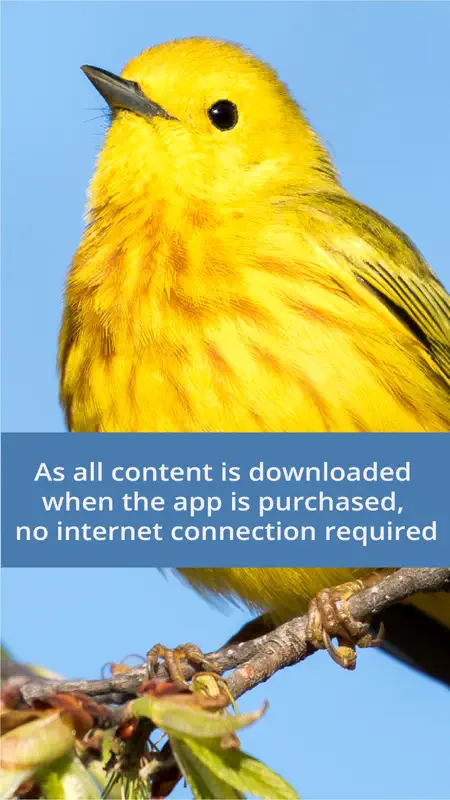 Bird Id USA - backyard birds screenshot 7 of 10
