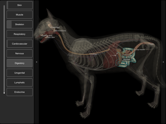 3D Cat Anatomyのおすすめ画像8
