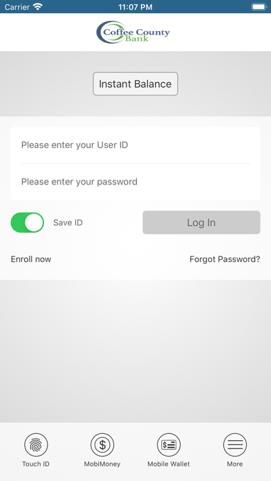 Coffee County Bank Screenshot