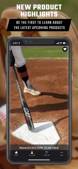 Game screenshot Baseball Express hack
